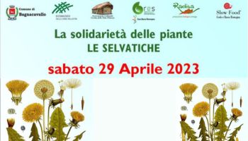 Solidarietà delle selvatiche