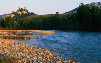 Acqua: uso e riuso