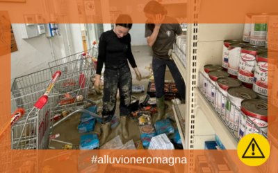 Empori solidali per la Romagna