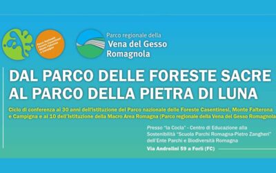 Dal parco delle foreste sacre al parco della pietra di luna