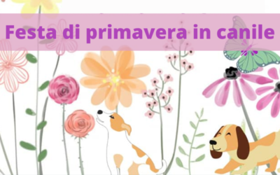 Festa al canile
