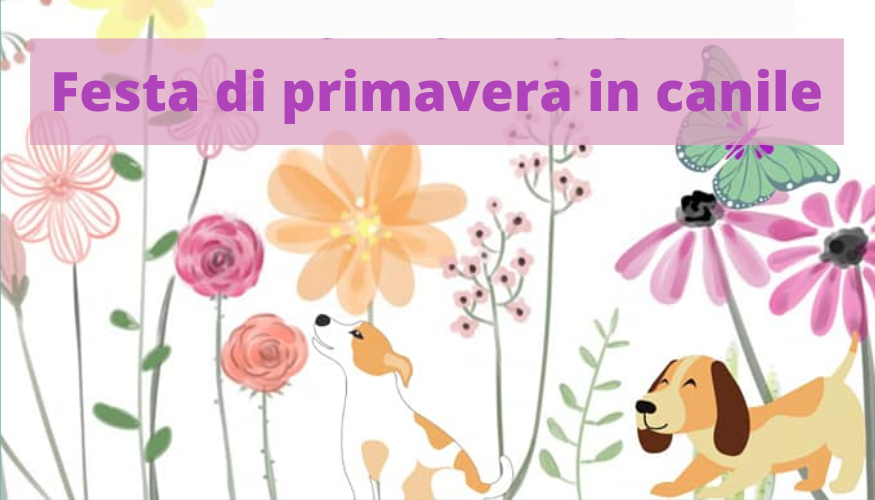 Festa al canile