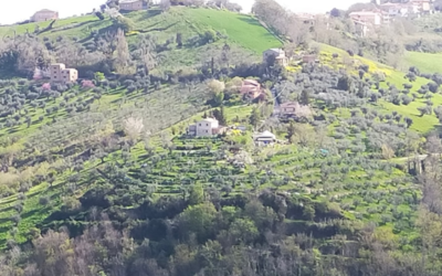Villaggio Arcadia cerca sostegno