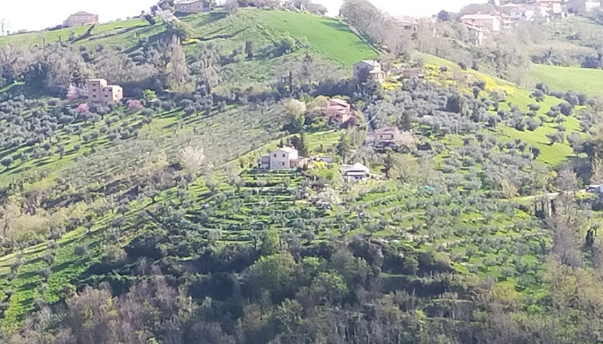 Villaggio Arcadia cerca sostegno