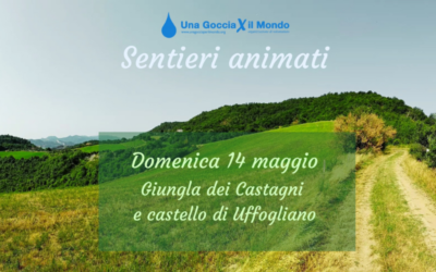 Sentieri animati