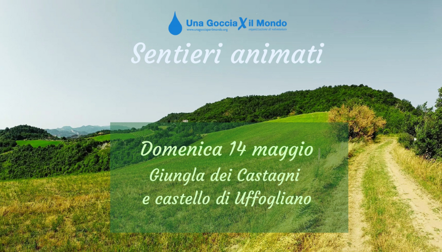 Sentieri animati