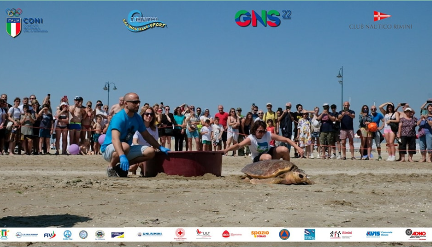 Sull’onda dello sport