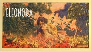 NeroNotte teatro