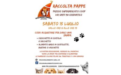 Raccolta pappe
