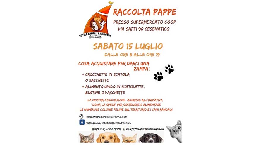 Raccolta pappe