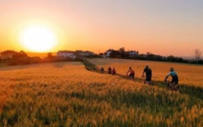 Pedalando Oltre le Ricerca