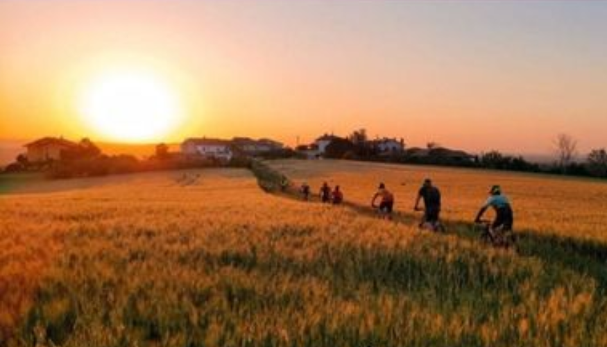 Pedalando Oltre le Ricerca