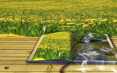 Poesia e natura nel parco 2024