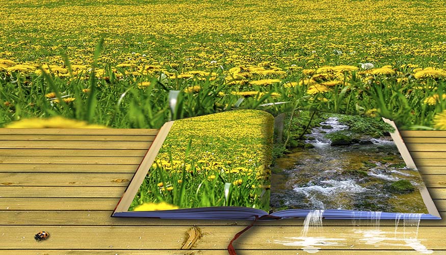 Poesia e natura nel parco 2024