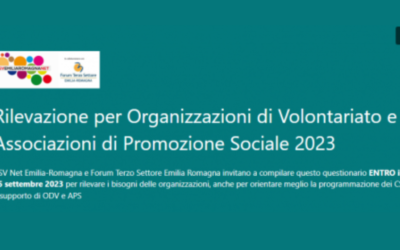 Indagine sul volontariato