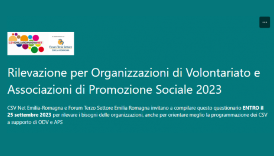 Indagine sul volontariato