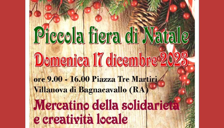 Piccola fiera di Natale