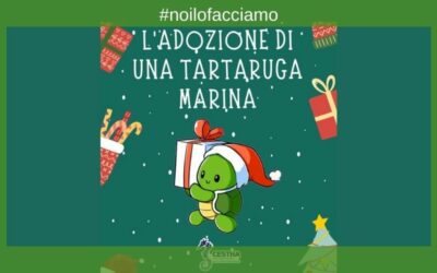 A Natale, adotta una tartaruga