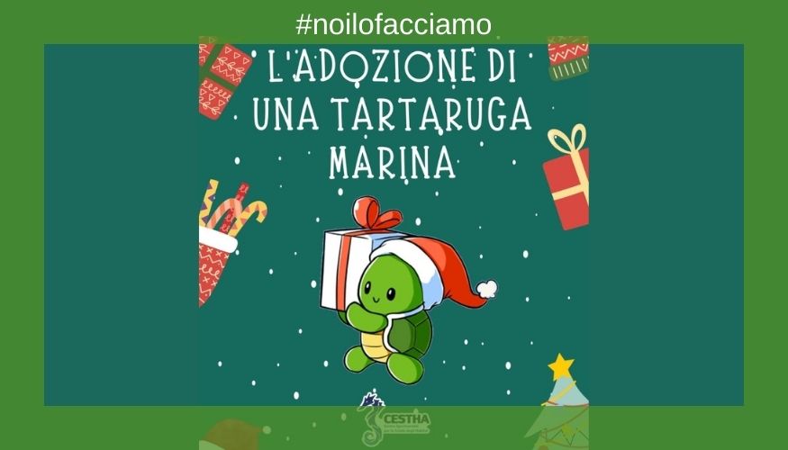 A Natale, adotta una tartaruga