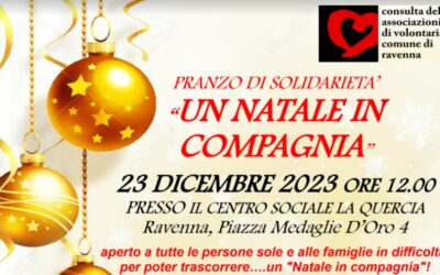 Un Natale in compagnia
