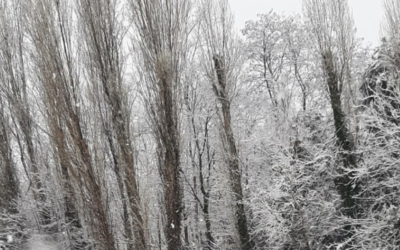 Winter camp