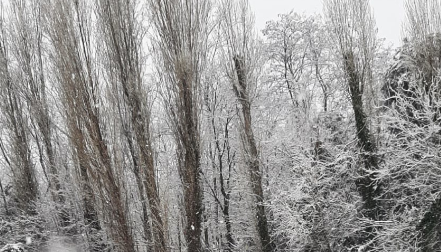 Winter camp
