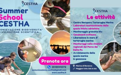 Cestha summer school