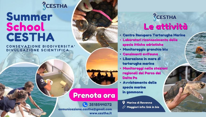 Cestha summer school