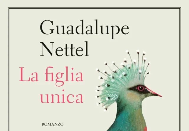 foto gruppo di lettura Pavone.