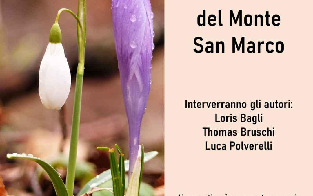 Studi naturalistici