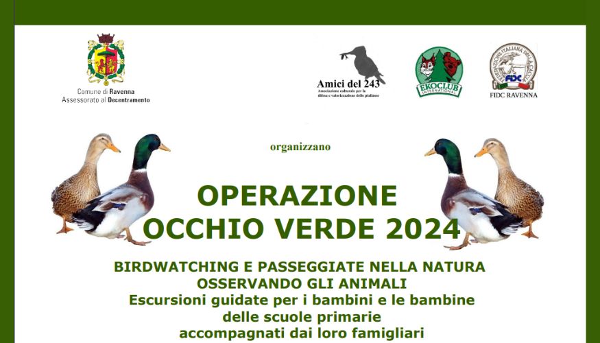 Operazione occhio verde