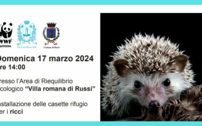 Cassette rifugio per i ricci