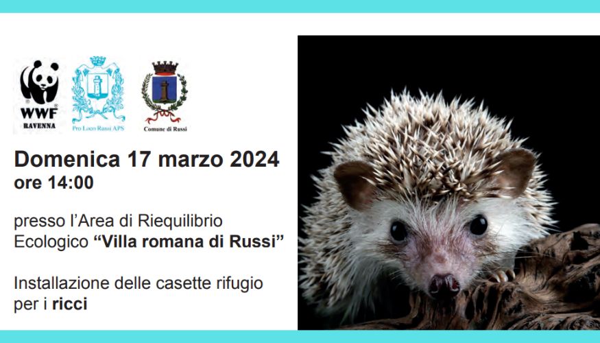 Cassette rifugio per i ricci