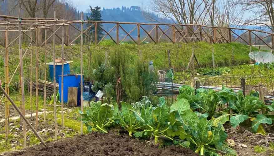 Cesena: orti urbani proposte per nuovo regolamento