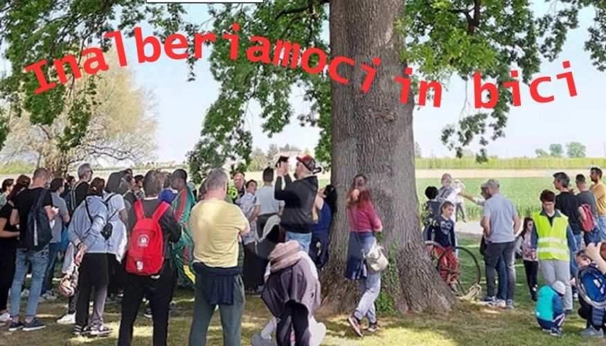 Inalberiamoci in bici