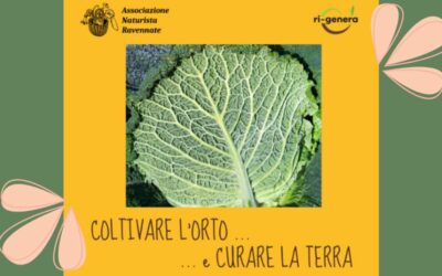 Coltivare l’orto e curare la terra