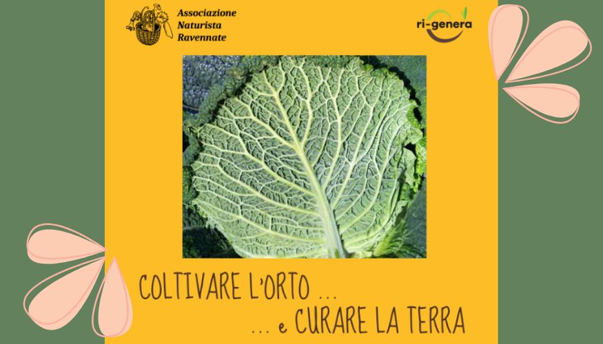 Coltivare l’orto e curare la terra