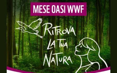 Impariamo col Wwf