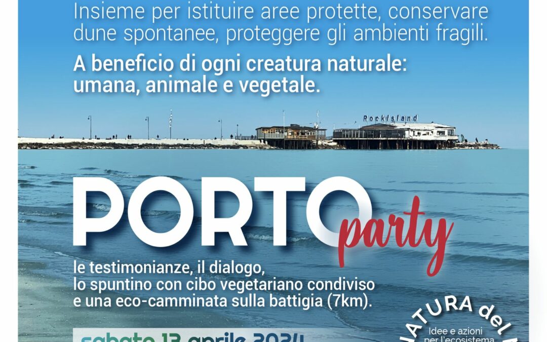Porto Party