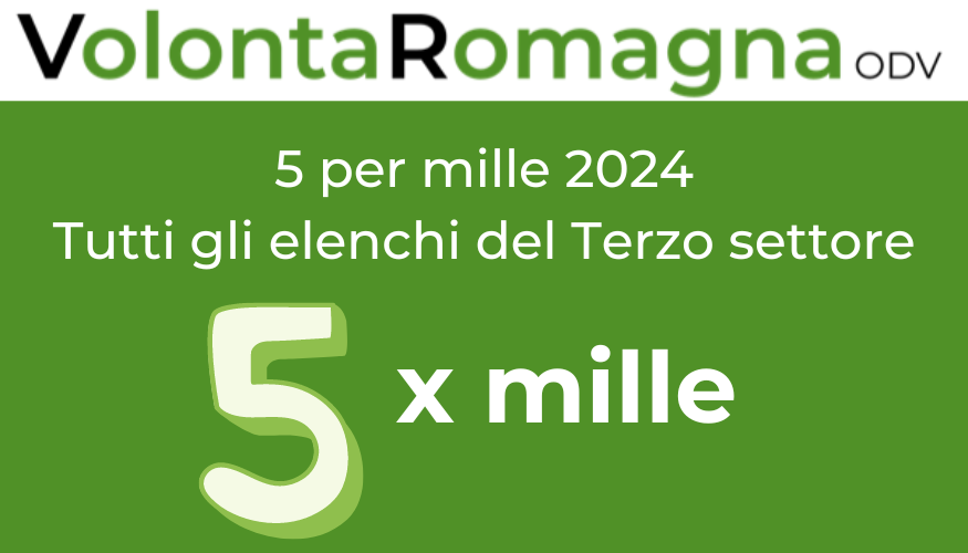 5 per mille 2024 elenchi disponibili per il Terzo settore