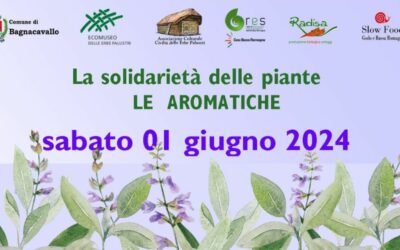 Alla scoperta delle piante aromatiche