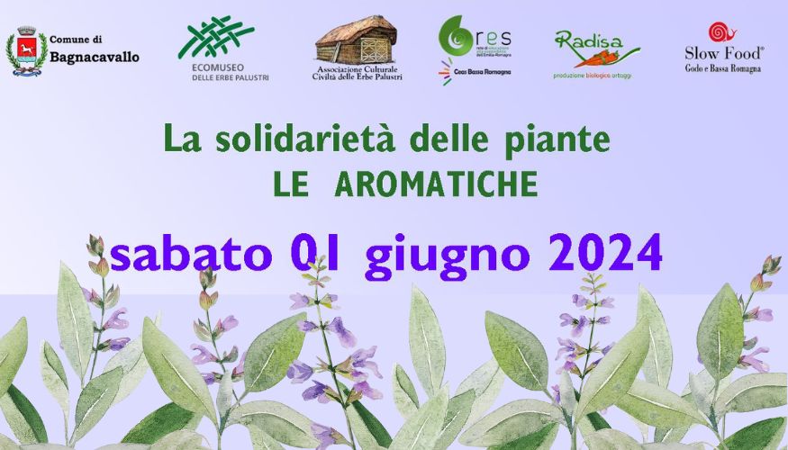 Alla scoperta delle piante aromatiche