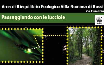 Passeggiando con le lucciole