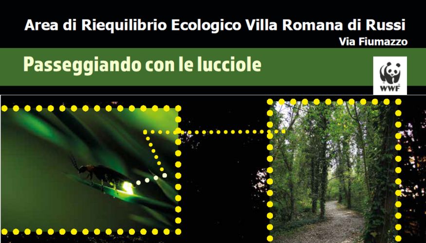 Passeggiando con le lucciole