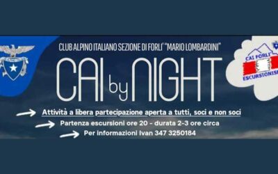Cai by night
