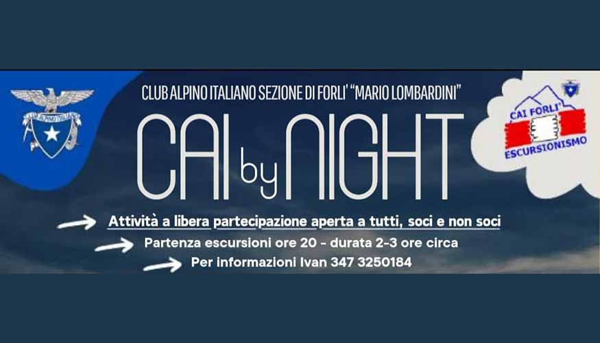 Cai by night