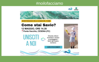 Come stai Savio?