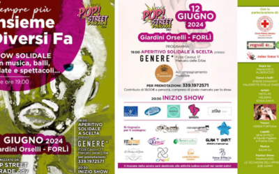 Insieme Diversi Fa