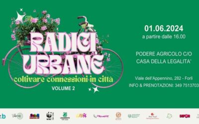 Radici Urbane 2024