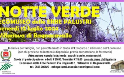 “Notte verde” in tenda all’Ecomuseo